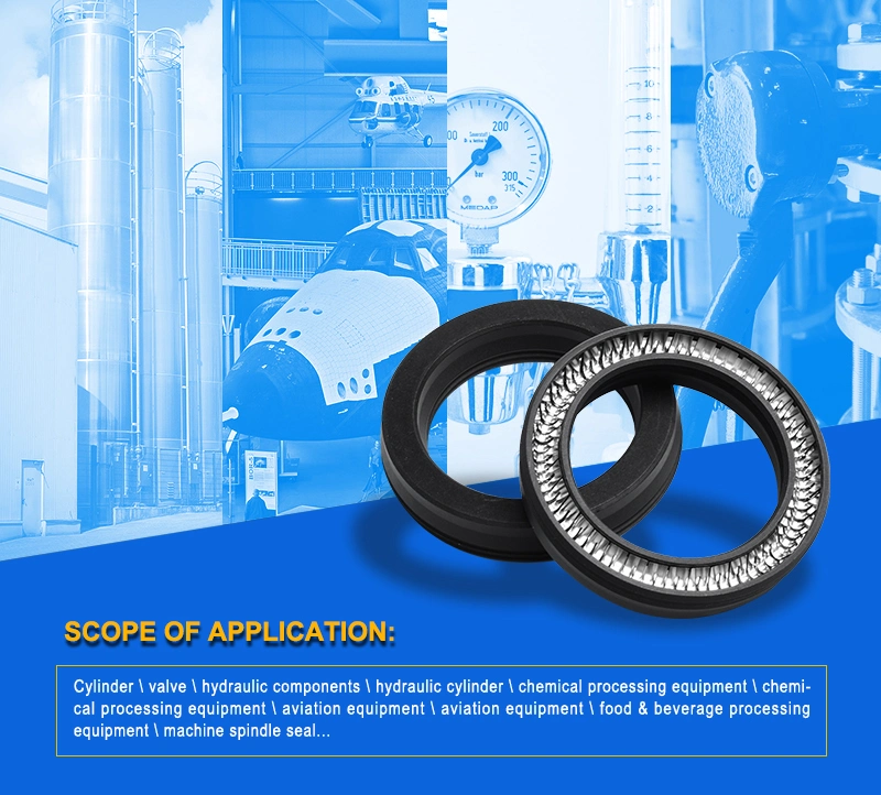 SS304 PTFE Customized Spring Energized Seals Used in Marine