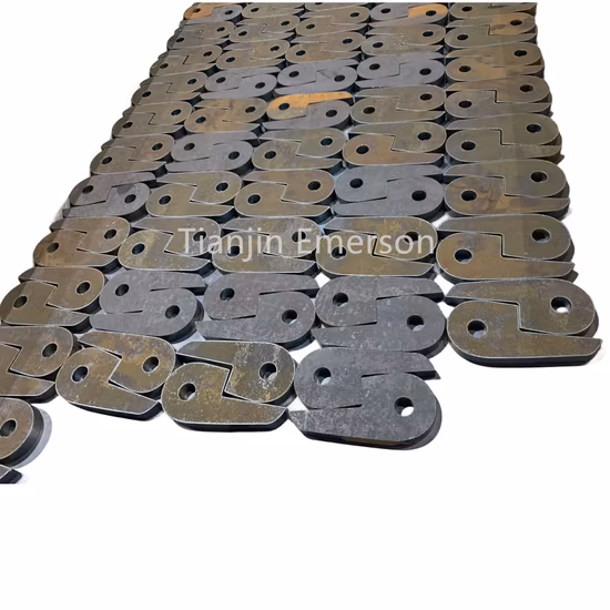 Diseño modificado para requisitos particulares fabricación de chapa de la pila de AC Charege